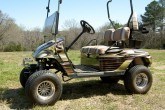 custom graphics golf cart